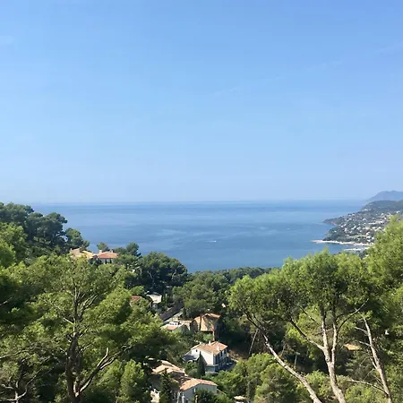 Mesomax - Vue & Piscine A Hyeres-carqueiranne *