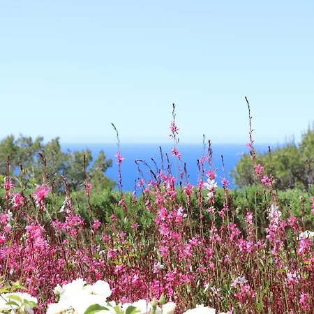 Mesomax - Vue Mer, Piscine, Proche De La - Rdc *