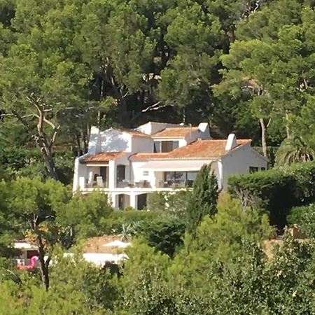 Mesomax - Vue & Piscine A Hyeres-carqueiranne 펜션 카르쿠에이란느