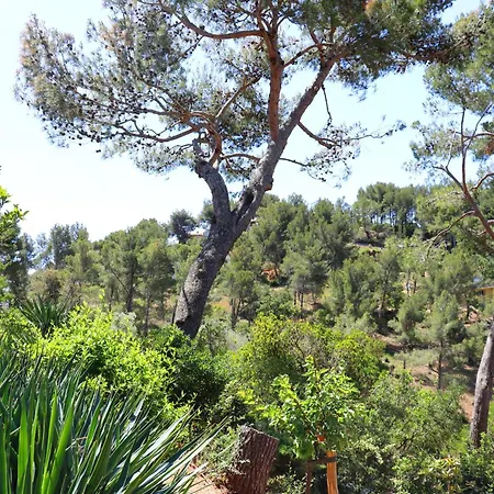 Mesomax - Vue Mer, Piscine, Proche De La - Rdj * Carqueiranne