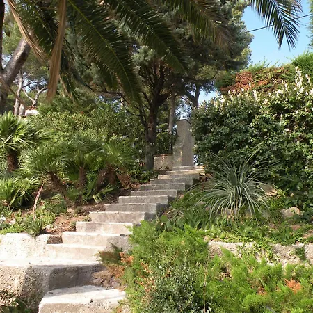 Mesomax - Vue & Piscine A Hyeres-carqueiranne