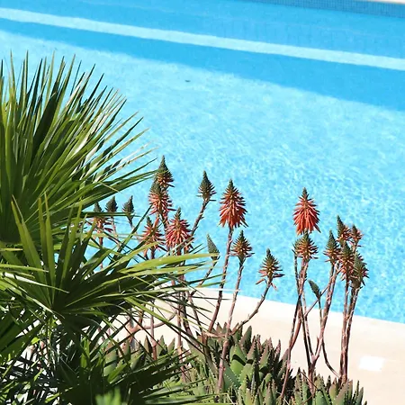 Mesomax - Vue Mer, Piscine, Proche De La - Rdc Carqueiranne