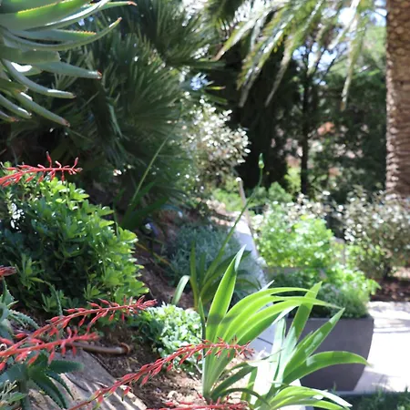 Vakantiehuis Mesomax - Vue Mer, Piscine, Proche De La - Rdc Carqueiranne