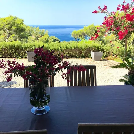 Mesomax - Vue Mer, Piscine, Proche De La - Rdc Vakantiehuis