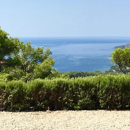 Vakantiehuis Mesomax - Vue Mer, Piscine, Proche De La - Rdc Carqueiranne
