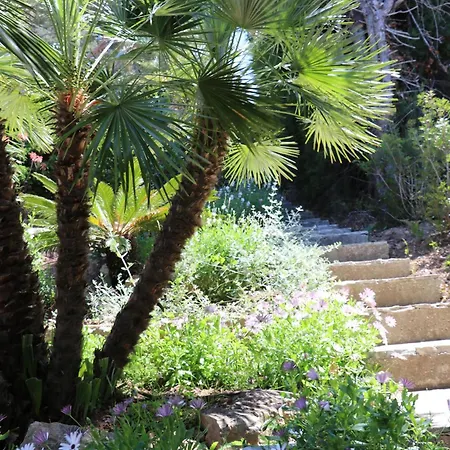 Mesomax - Vue Mer, Piscine, Proche De La - Rdc *