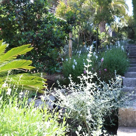 Mesomax - Vue Mer, Piscine, Proche De La - Rdc Carqueiranne
