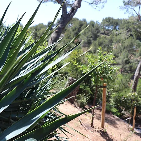 Mesomax - Vue Mer, Piscine, Proche De La - Rdc Vakantiehuis Carqueiranne